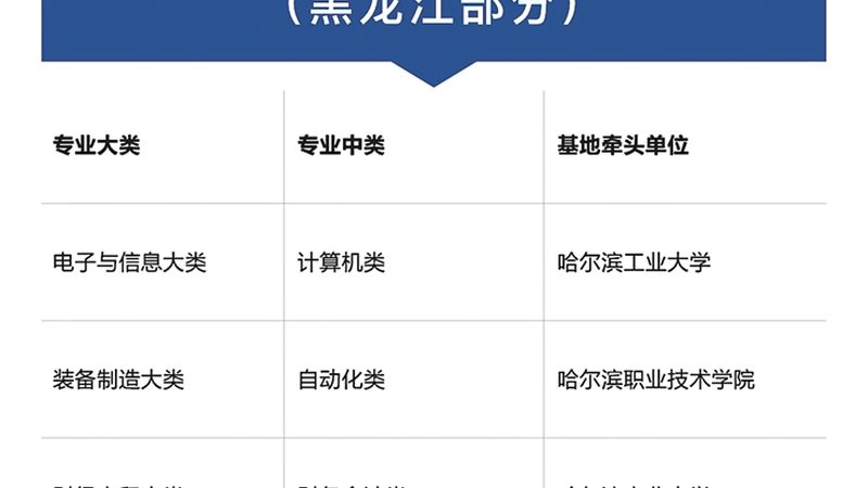 Scratch与Python：少儿编程的两种不同路径