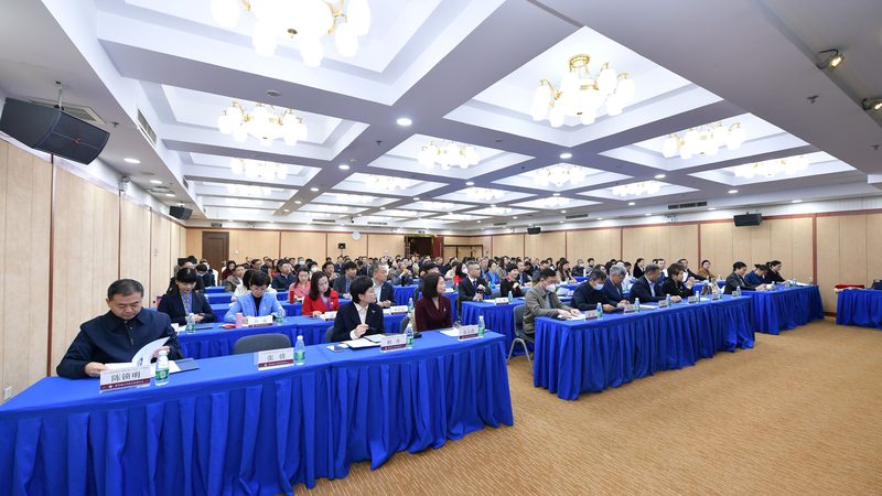 短期职业培训与长期教育：效果差异解析